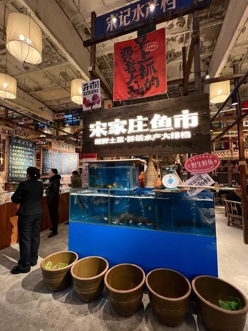 這三家店的龍魚價格如何？