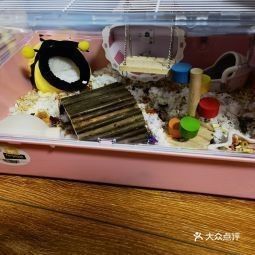 龍貓玩具在哪里可以買到