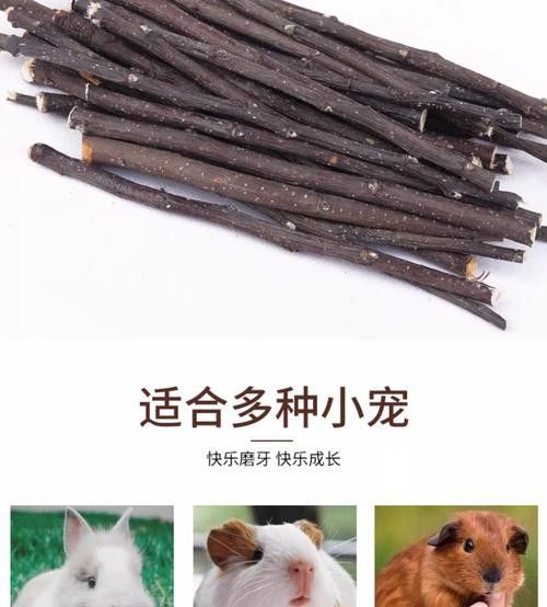 龍貓玩具在哪里可以買到