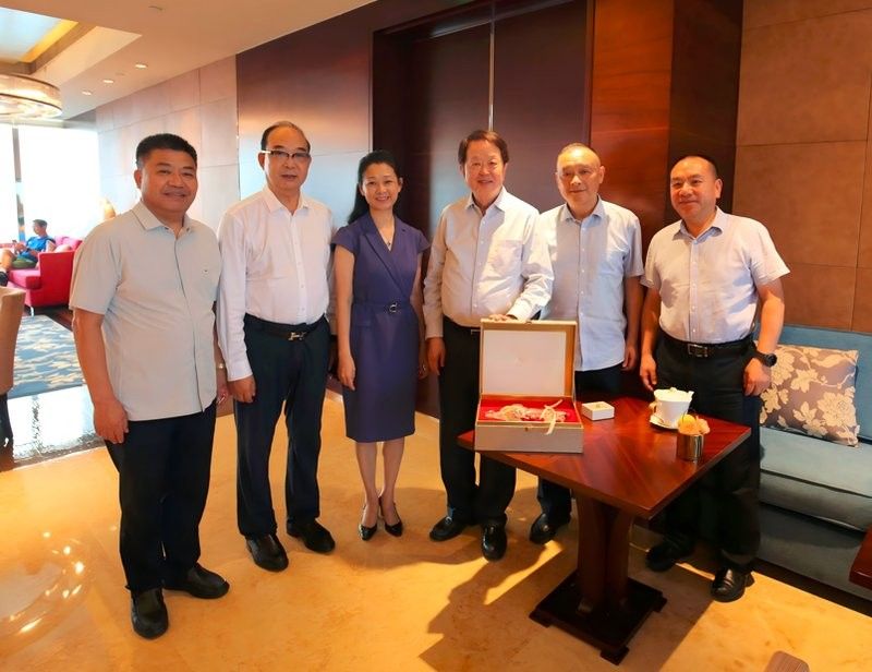 金龍魚與河南政府的合作細節