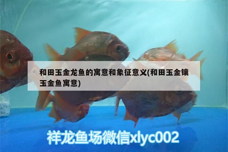 納米氣盤哪個品牌的好