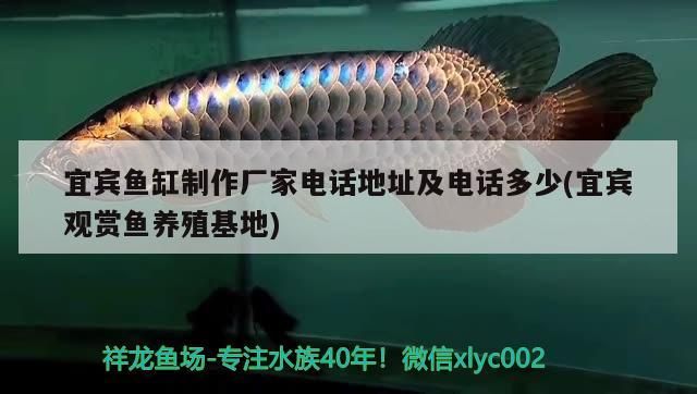 宜賓魚缸制作廠家電話地址及電話多少(宜賓觀賞魚養殖基地)