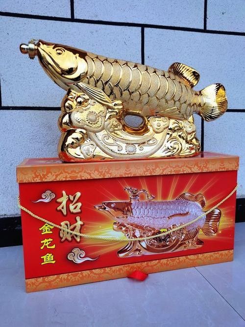金龍魚白酒38度有哪些款式？
