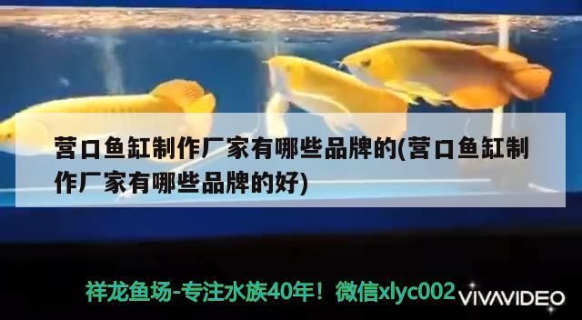 營口魚缸制作廠家有哪些品牌的(營口魚缸制作廠家有哪些品牌的好) 營口魚缸制作廠家有哪些品牌的(營口魚缸制作廠家有哪些品牌的好) 觀賞魚百科