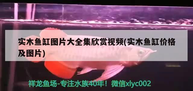 實木魚缸圖片大全集欣賞視頻(實木魚缸價格及圖片)
