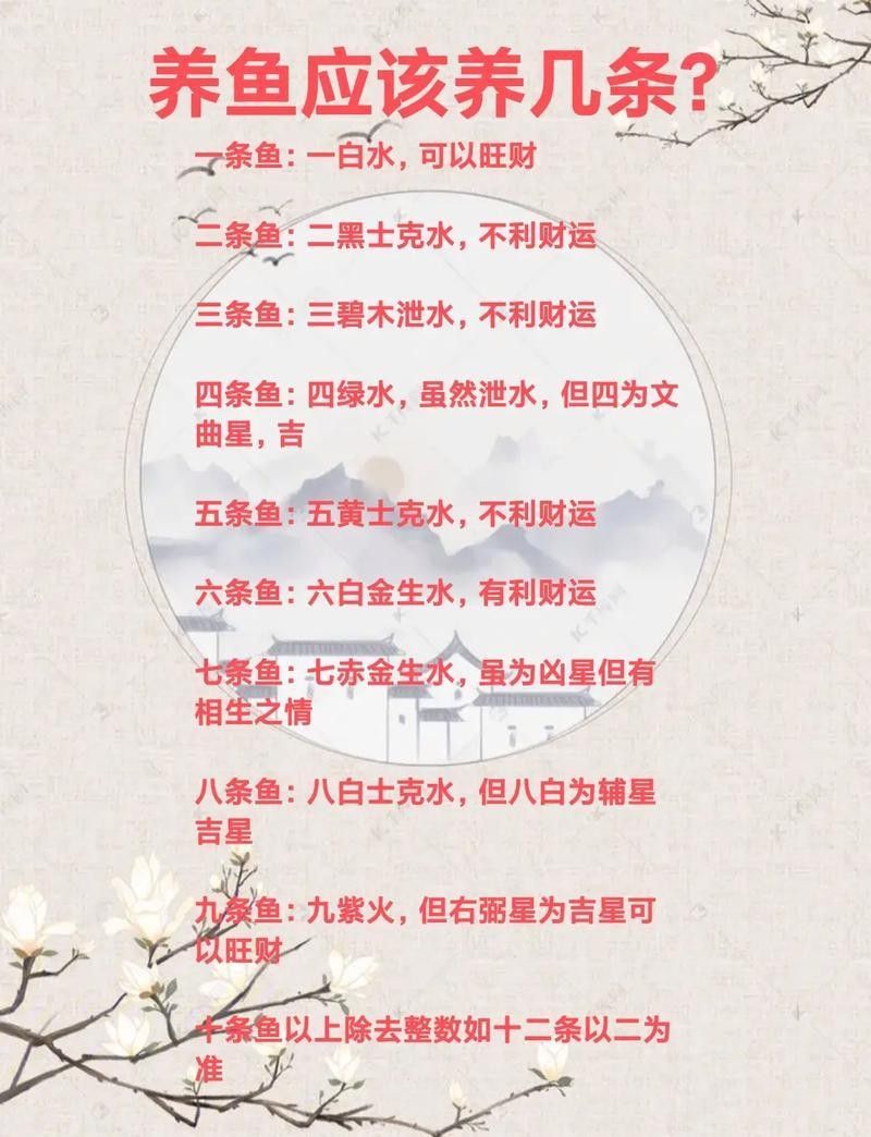 屬虎的人適合養幾條金龍魚（屬虎養幾條魚最好）