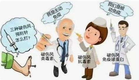 TAT和TIG的區別是什么？