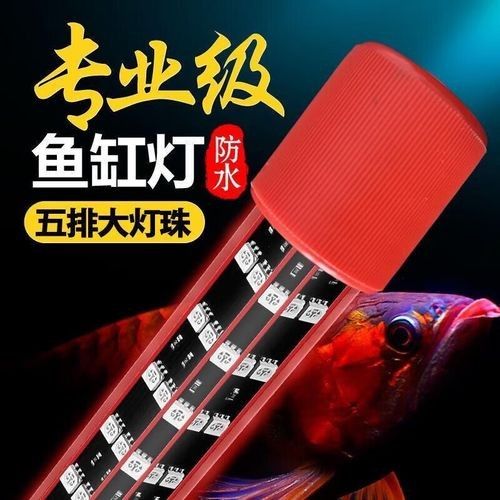 有哪些品牌的金龍魚缸燈(金龍魚缸燈什么品牌的質(zhì)量最好honeybrewled魚缸燈品牌排行榜)