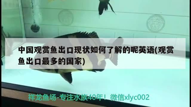 中國觀賞魚出口現狀如何了解的呢英語(觀賞魚出口最多的國家)