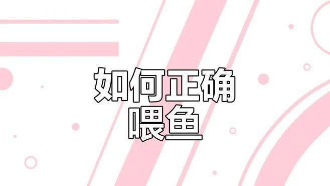 如何精準投喂魚食