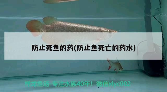 防止死魚的藥(防止魚死亡的藥水)