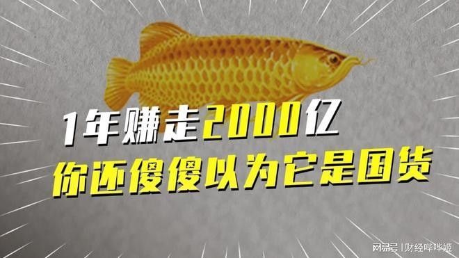 金龍魚和中糧的股權關系如何？