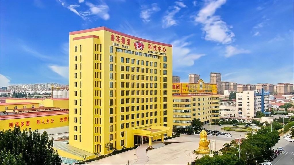 金龍魚和中糧的股權關系如何？