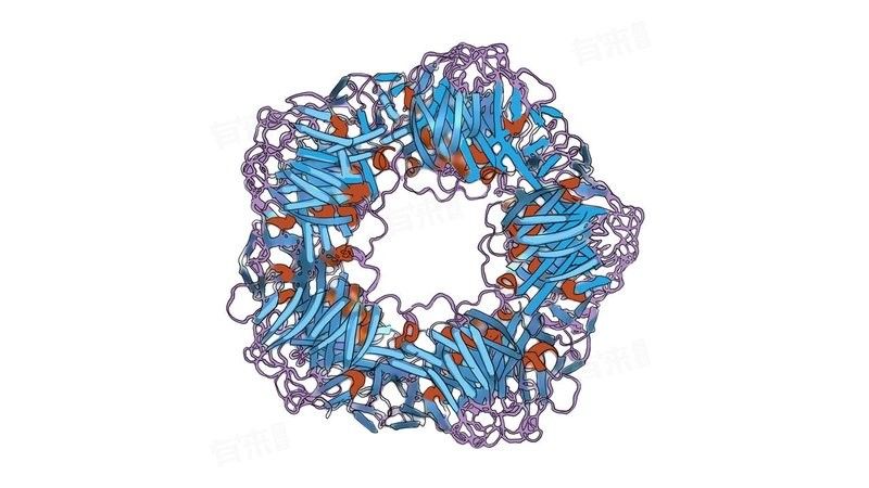 如何區(qū)分細(xì)菌感染和病毒感染