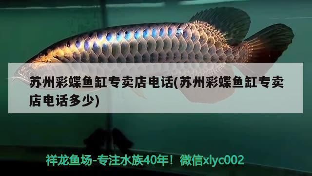 蘇州彩蝶魚缸專賣店電話(蘇州彩蝶魚缸專賣店電話多少)
