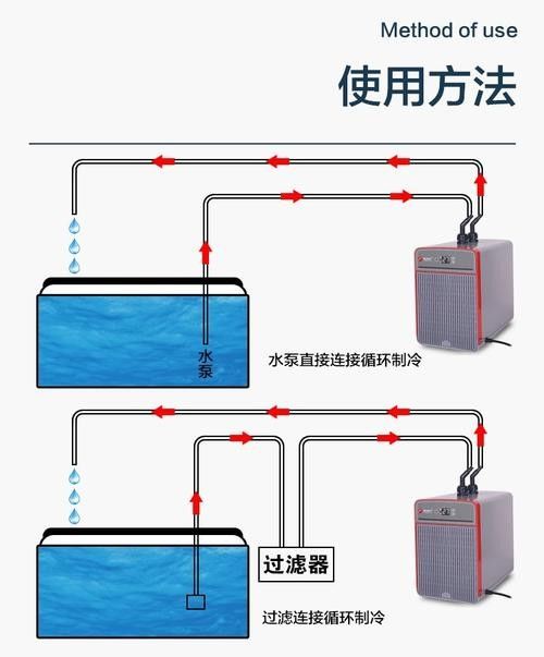 如何保持繁殖缸水溫穩定？（養魚老道孔雀魚繁殖季節注意事項，溫度水質全解析）