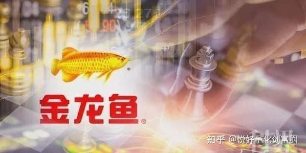 過背金龍魚的投資風險有哪些