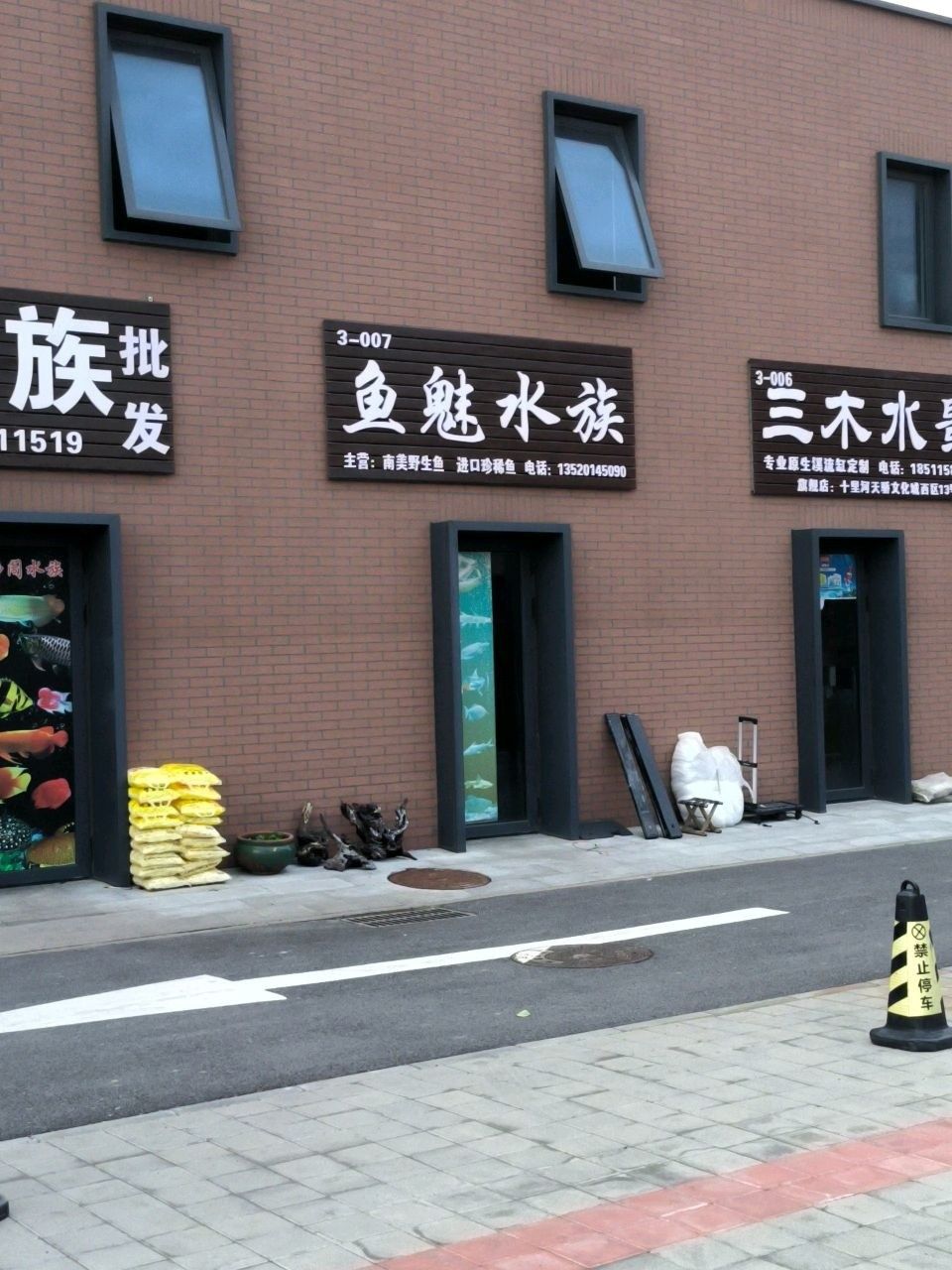 廉江哪個水族館龍魚好？祥龍魚場龍魚（廣州龍魚祥龍魚場）