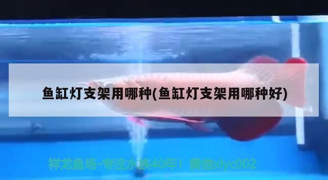 魚缸燈支架用哪種(魚缸燈支架用哪種好) 魚缸燈支架用哪種(魚缸燈支架用哪種好) 觀賞魚百科