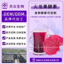 紅龍果深加工產品有哪些？ 紅龍果深加工產品有哪些？ 龍魚百科 第3張