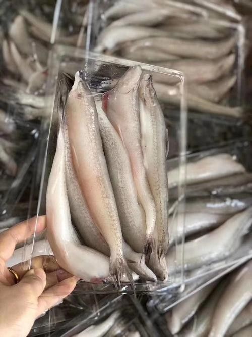 潮汕龍魚有哪些常見的品種？