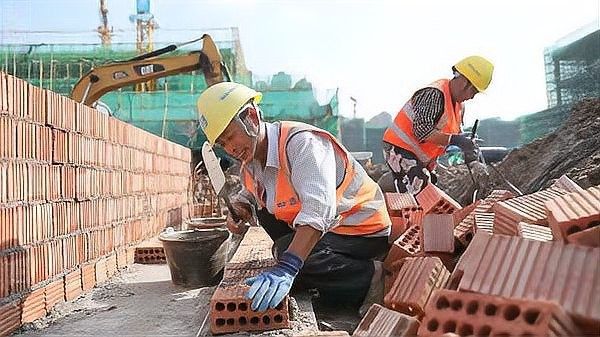 二期工程預計何時完工？ 二期工程預計何時完工？ 龍魚百科 第2張