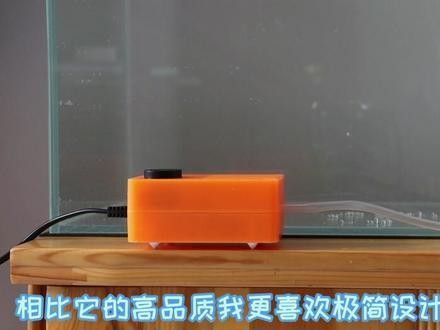 雷龍魚跳缸怎么辦（雷龍跳缸后如何處理急救措施全解析）