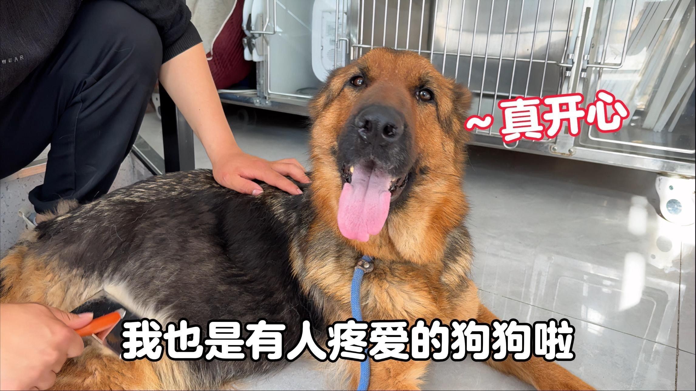 如何預防龍魚腹水??？（預防龍魚腹水病的方法）