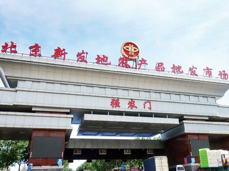 哪里可以購買到金龍魚