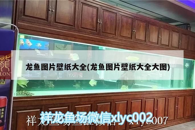 隴南水族批發市場在哪里啊電話（西安水族批發市場在哪里）