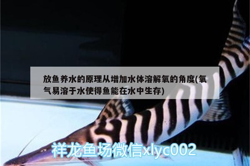 隴南水族批發市場在哪里啊電話（西安水族批發市場在哪里）