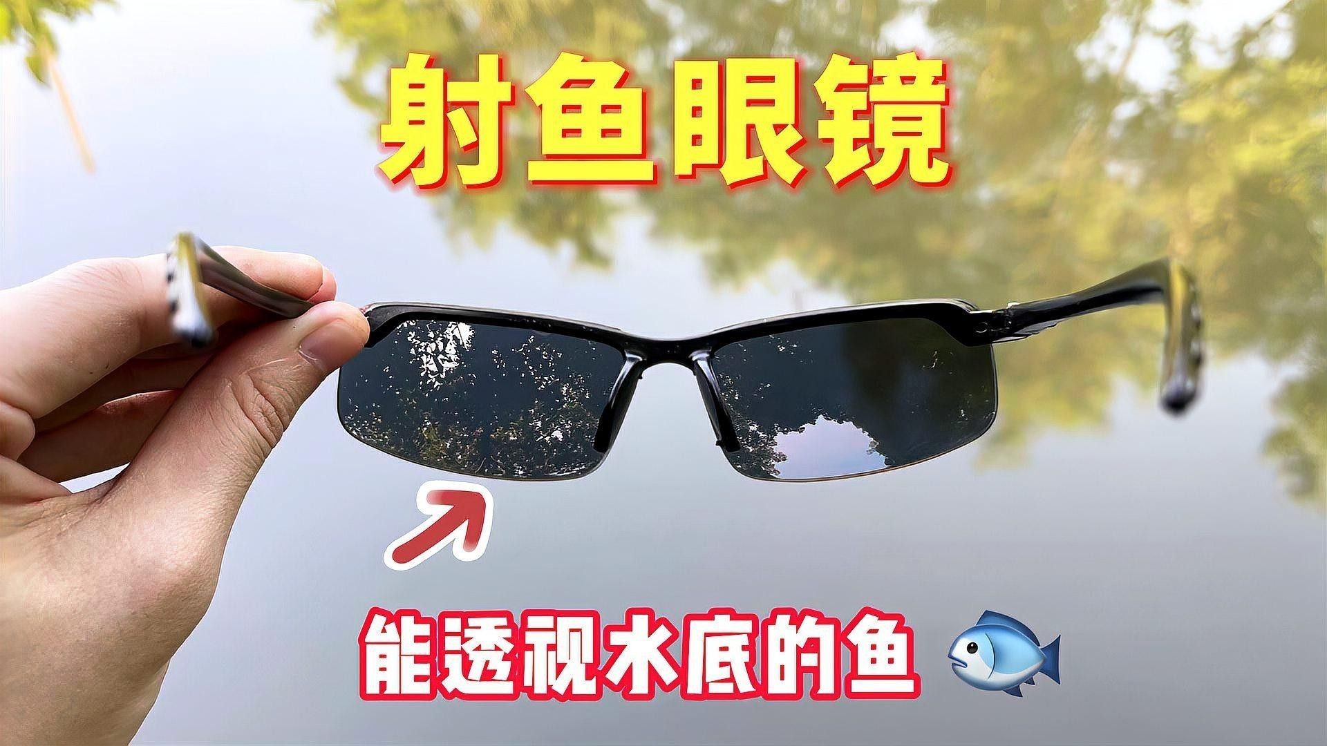 能推薦幾款適合拍攝龍魚(yú)的魚(yú)眼鏡頭嗎 能推薦幾款適合拍攝龍魚(yú)的魚(yú)眼鏡頭嗎 龍魚(yú)百科 第6張