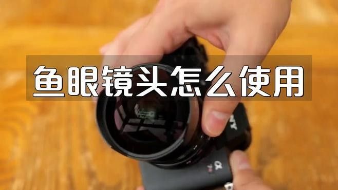 能推薦幾款適合拍攝龍魚(yú)的魚(yú)眼鏡頭嗎 能推薦幾款適合拍攝龍魚(yú)的魚(yú)眼鏡頭嗎 龍魚(yú)百科 第8張