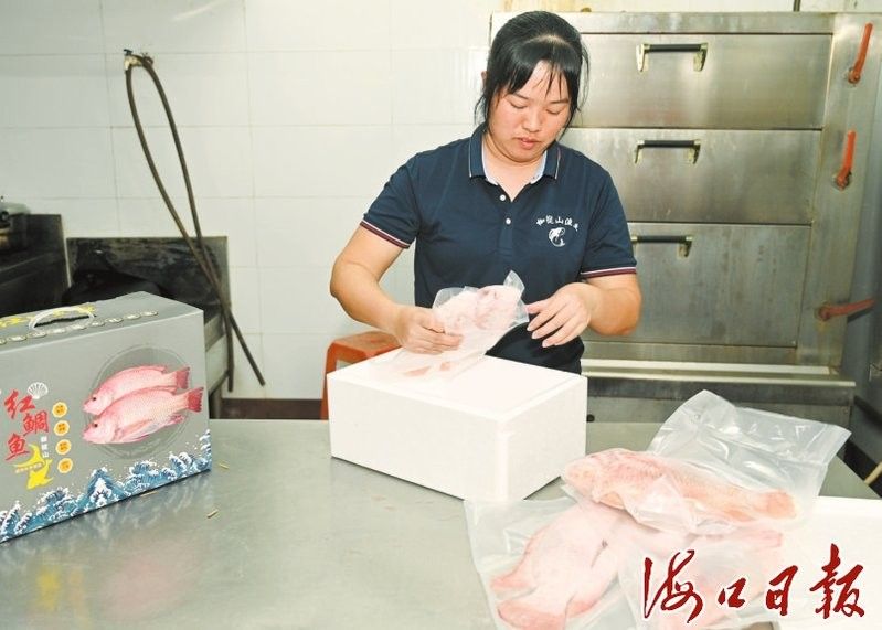 海口龍魚養(yǎng)殖的市場前景如何