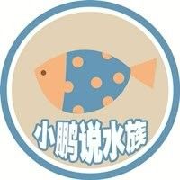 峰峰哪個水族館龍魚好？祥龍魚場龍魚（峰峰哪個水族館龍魚好） 峰峰哪個水族館龍魚好？祥龍魚場龍魚（峰峰哪個水族館龍魚好） 龍魚百科 第12張