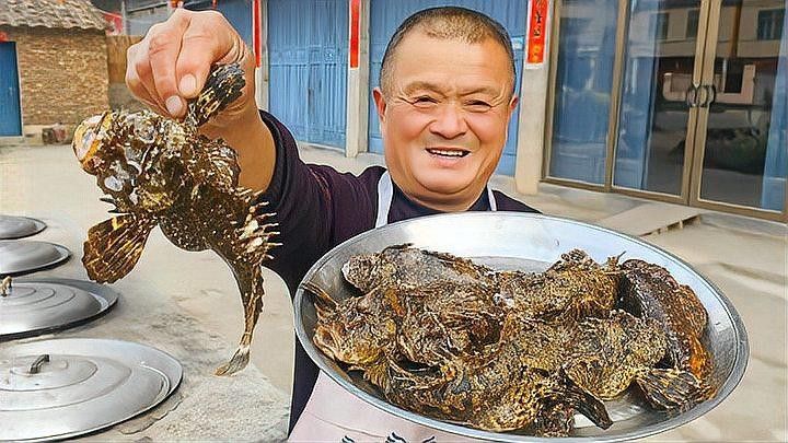 如何判斷金龍魚和虎魚是否適應？（如何判斷金龍魚和虎魚是否適應新環境） 如何判斷金龍魚和虎魚是否適應？（如何判斷金龍魚和虎魚是否適應新環境） 龍魚百科 第2張