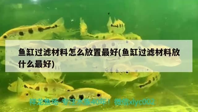 魚缸過濾材料怎么放置最好(魚缸過濾材料放什么最好)（魚缸過濾材料怎么擺放最好？）