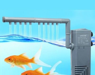 生態瓶魚缸的制作流程教程(生態瓶魚缸的制作流程教程全集)