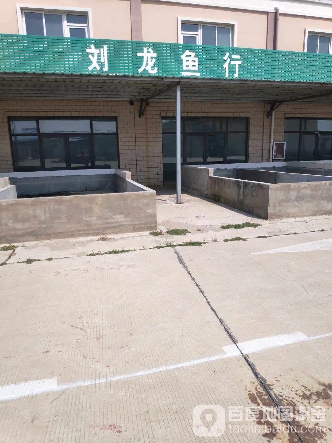 有哪些藥物可以有效治療泰獅魚鰭根部充血，如何治療泰獅魚鰭根部充血