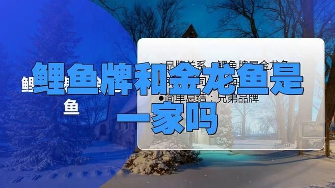 金龍魚有哪些子品牌？（金龍魚主要子品牌及其簡要介紹）