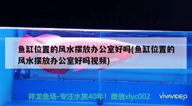 維修魚缸水泵電話（上門維修魚缸電話 24小時報修熱線） 維修魚缸水泵電話（上門維修魚缸電話 24小時報修熱線） 觀賞魚百科 第5張