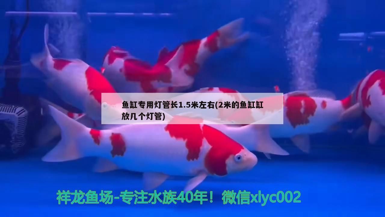 哪里有賣魚缸配件的實(shí)體店（附近魚缸配件專賣店）（哪里有賣魚缸配件的市場(chǎng)）