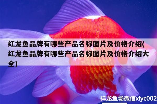 紅龍魚品牌有哪些產(chǎn)品名稱圖片及價(jià)格介紹(紅龍魚品牌有哪些產(chǎn)品名稱圖片及價(jià)格介紹大全)（養(yǎng)龍魚什么牌子的魚缸好）