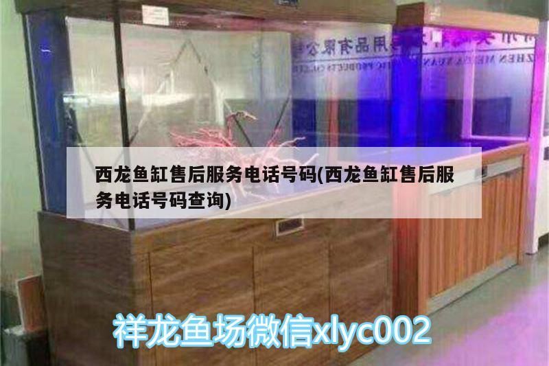 西龍魚缸售后服務電話號碼(西龍魚缸售后服務電話號碼查詢)（西龍魚缸售后服務電話號碼）
