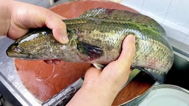 黑魚有哪些烹飪方法？（博禾醫(yī)生黑魚怎么做好吃博禾醫(yī)生教你黑魚湯的做法）
