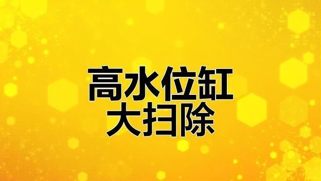 如何設置彩蝶埃及缸的過濾系統（如何設置彩蝶埃及缸過濾系統）