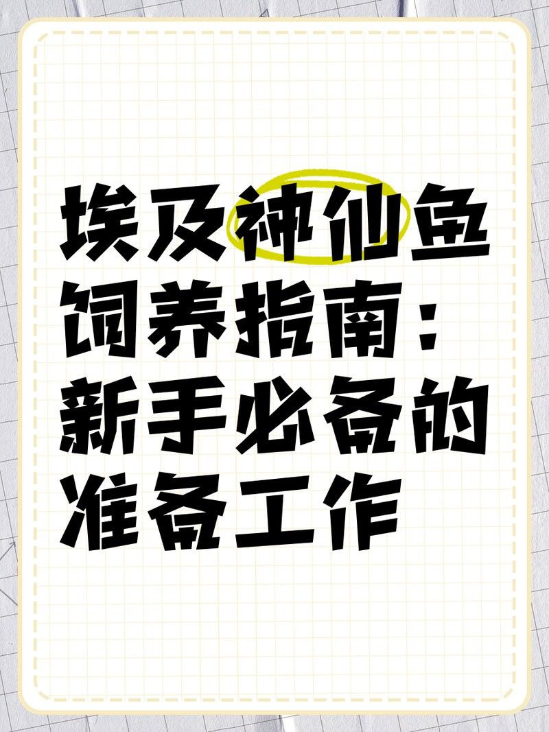 如何設置彩蝶埃及缸的過濾系統（如何設置彩蝶埃及缸過濾系統）