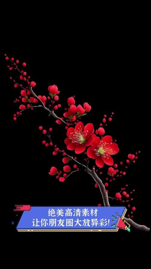 如何找到高清龍圖片素材（如何找到高清龍圖片）