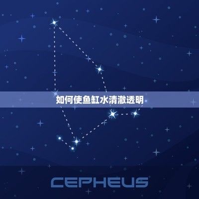 黃金貓魚和什么魚混養(yǎng)好看又好養(yǎng)（黃金貓魚叫什么魚）（黃金貓和什么魚混養(yǎng)好看又好養(yǎng)）