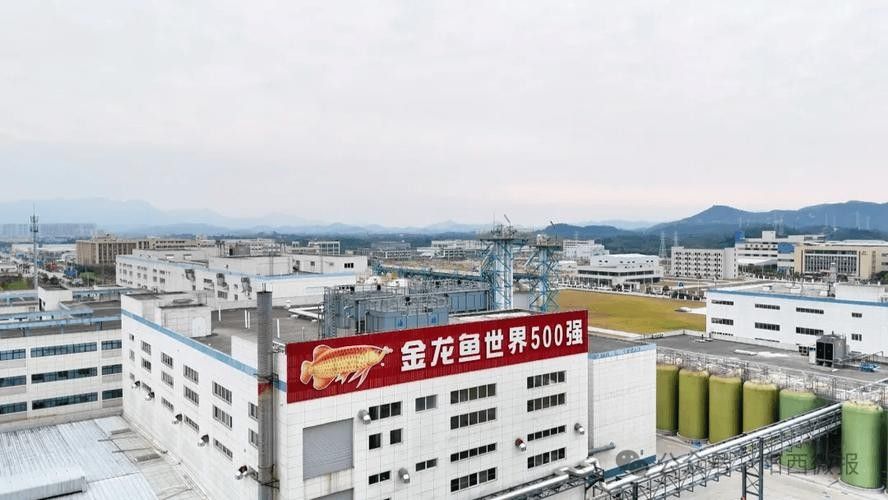 如何聯(lián)系到金龍魚調(diào)味品生產(chǎn)企業(yè)（如何聯(lián)系金龍魚調(diào)味品生產(chǎn)企業(yè)）